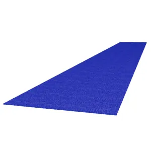 8m Royal Blue Carpet