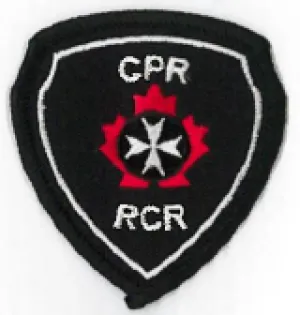 BADGE - FIRST AID LEADER