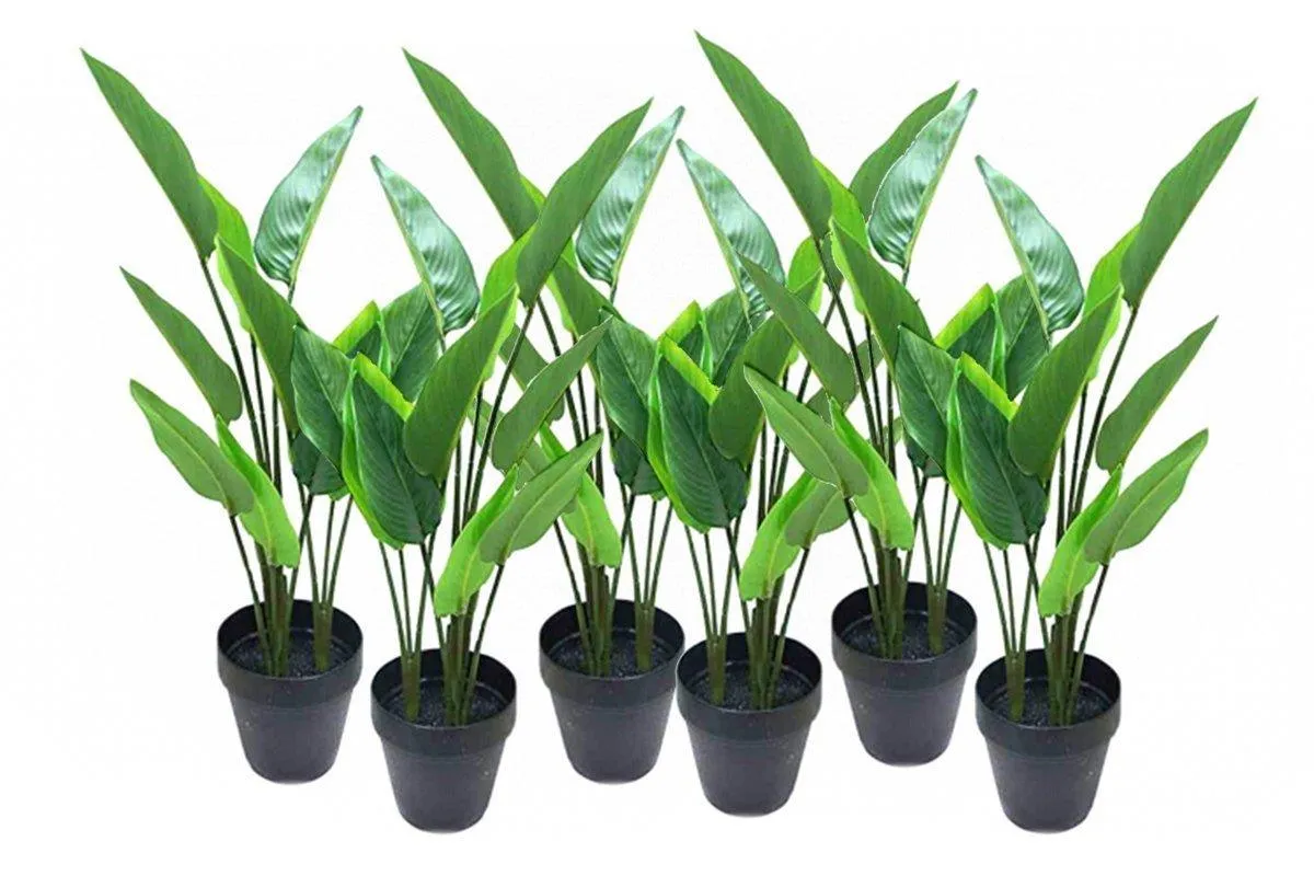 Flora Birds of Paradise Real Touch 10 Leaves - Set of 6