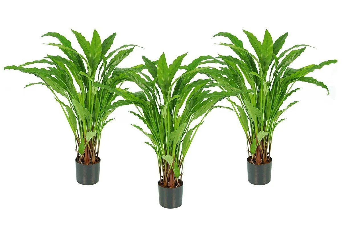 Flora Calathea Potted Bush with 55 Leaves 820mm H - Set of 3